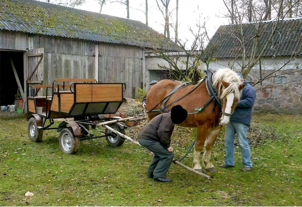 Sprzedam Bryczkę