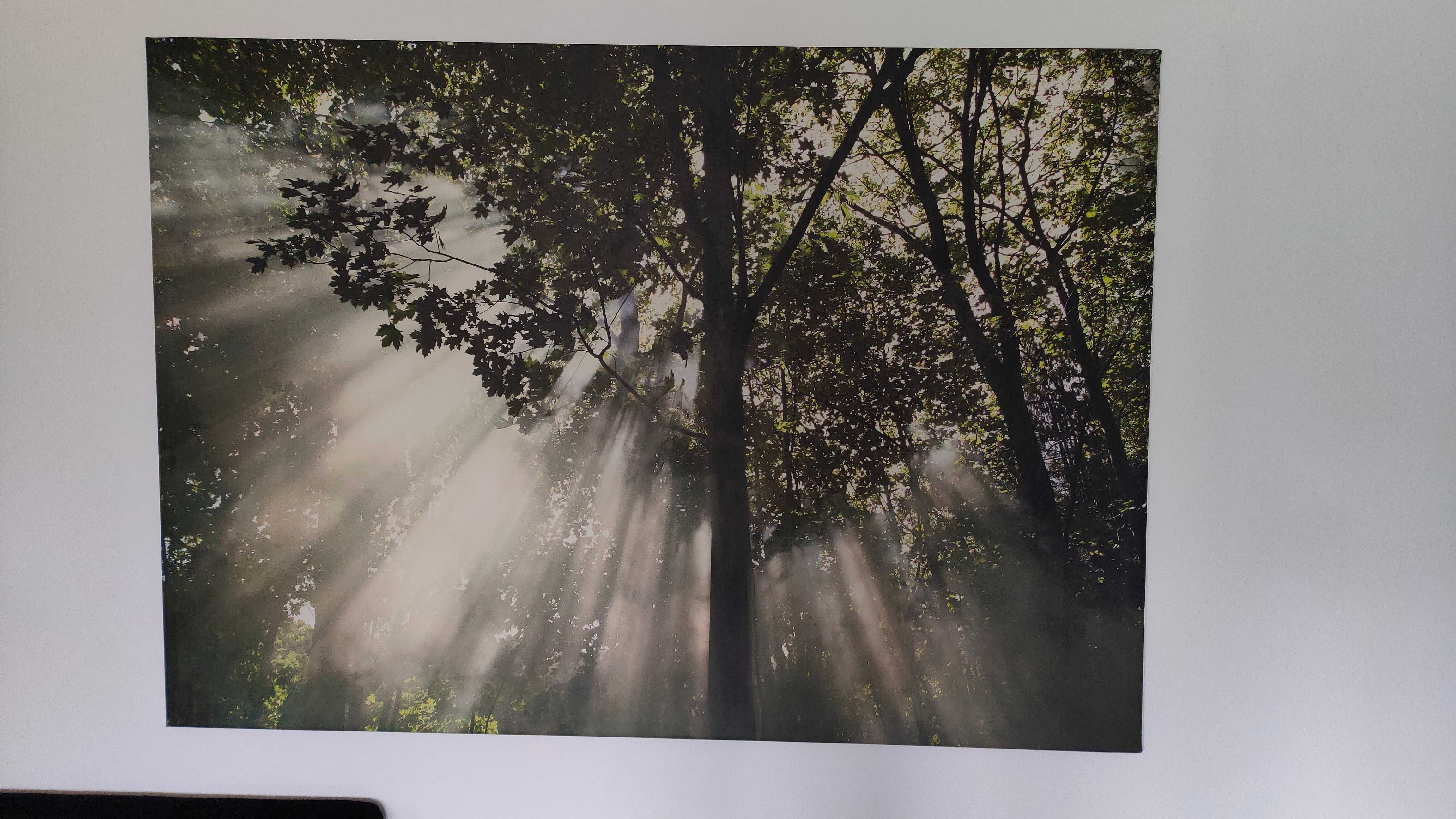 Quadro de fotografia em tela, dimensão 200cm X 140cm, Natureza