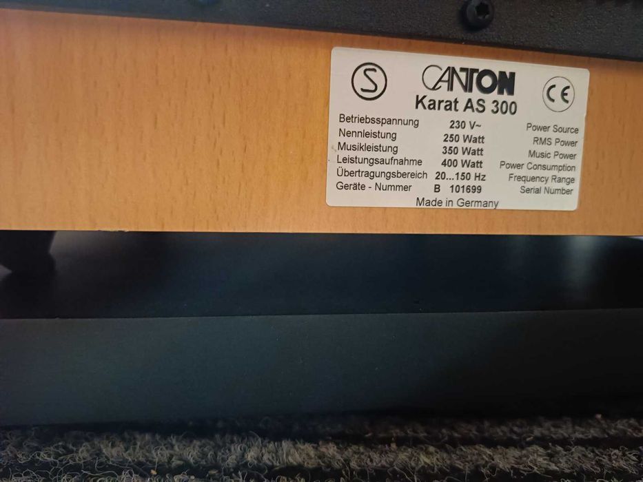 Canton Karat AS 300   31см 350ватт