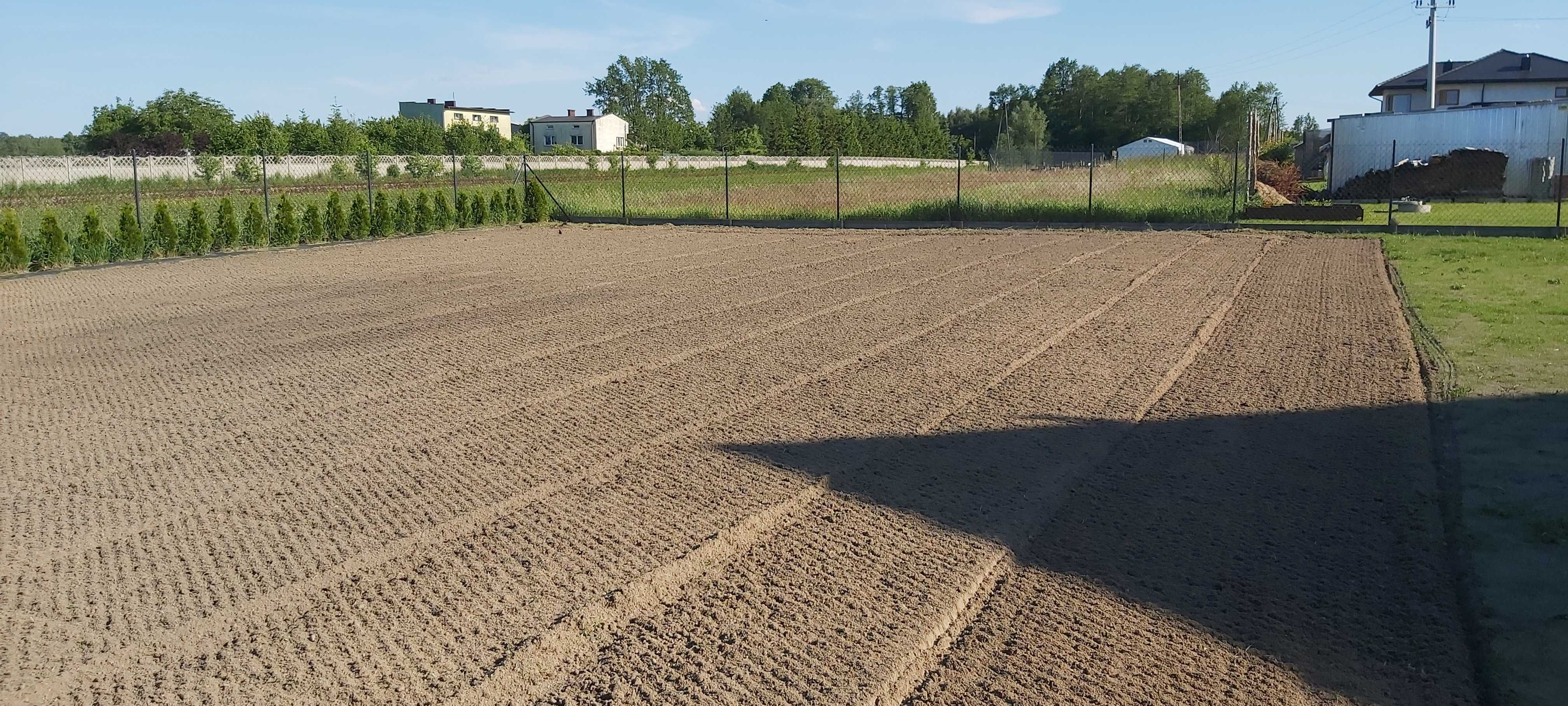 Usługi glebogryzarką separacyjną
