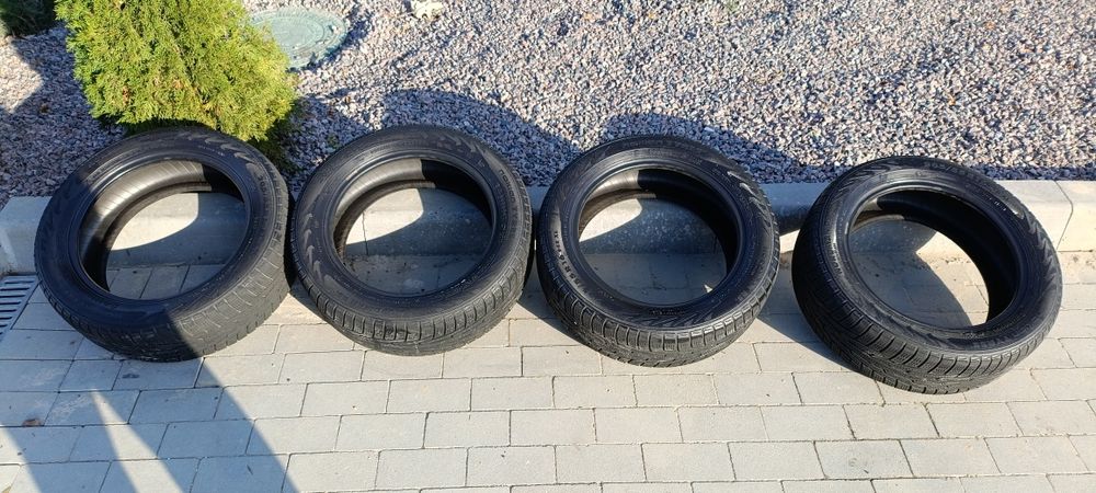 Зимня резина NOKIAN 205/55/16