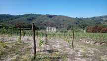 Venda Terreno, Gove, Baião