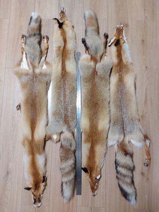 Хутро лиса, шкури лисиці