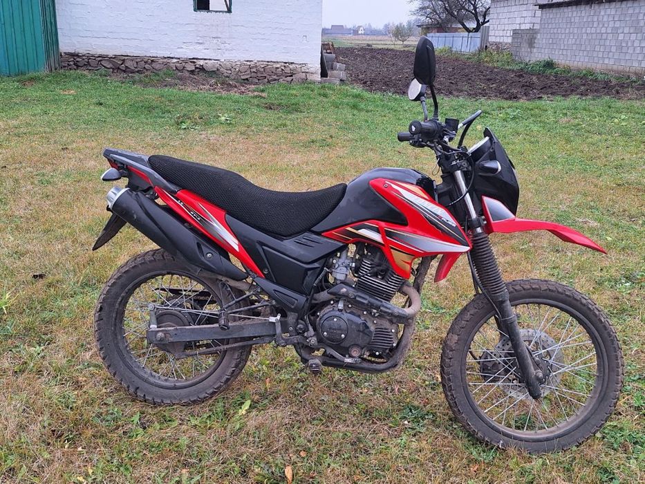 Продам лонсін прус