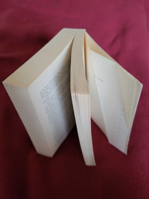 Książka: Cień Wiatru. Carlos Ruiz Zafón.