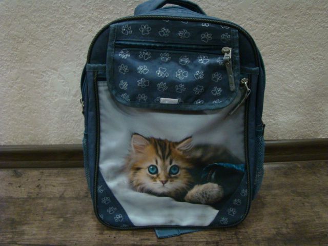 Школьный рюкзак Bagland