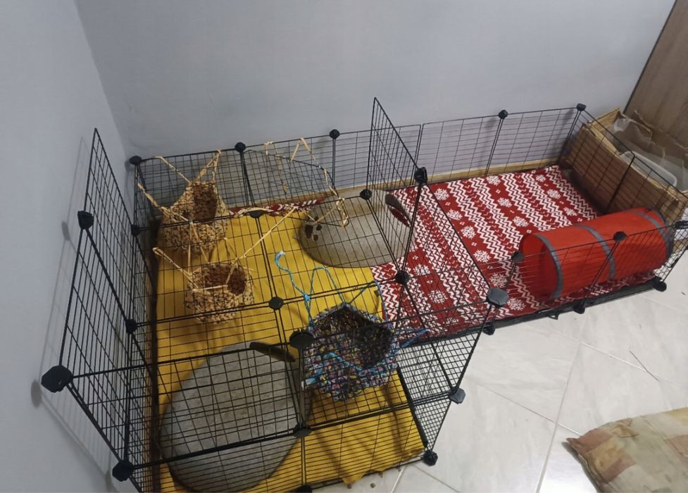 Kojec/Zagroda dla małych zwierząt – chomik, świnka morska, królik mini