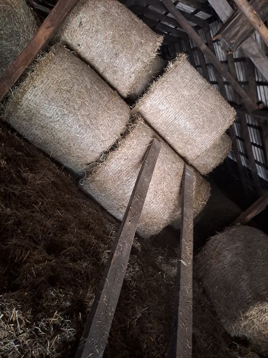 Siano suche pierwszy pokos