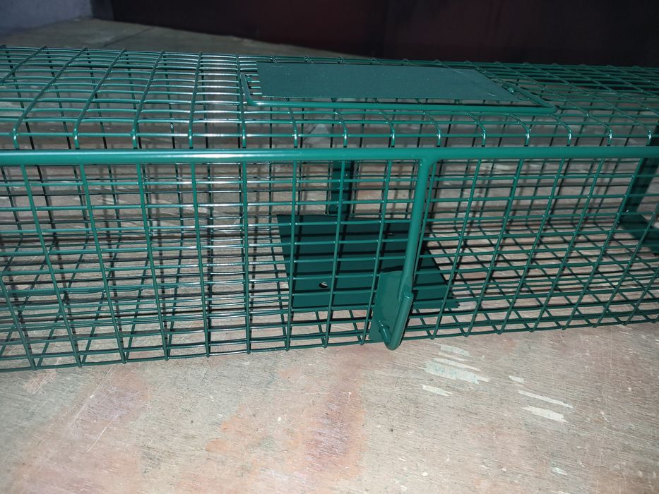 Klatka na gryzonie (szczury itp)