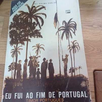 vendo livro eu fui ao fim de portugal