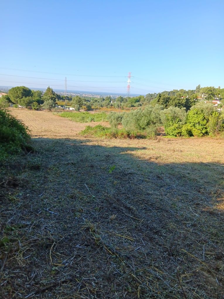 Terreno em Palmela