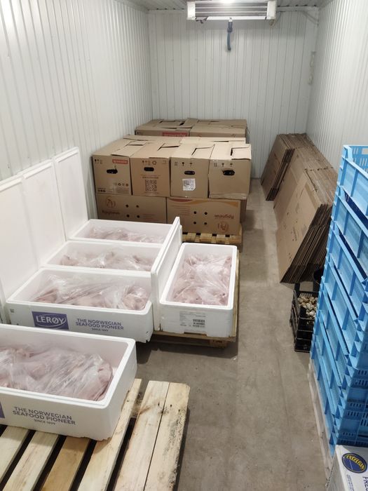 Опт , перепелине яйця