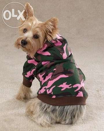 Ciepłe kurteczki ubranko dla psa york , chihuahua , mops #Warka