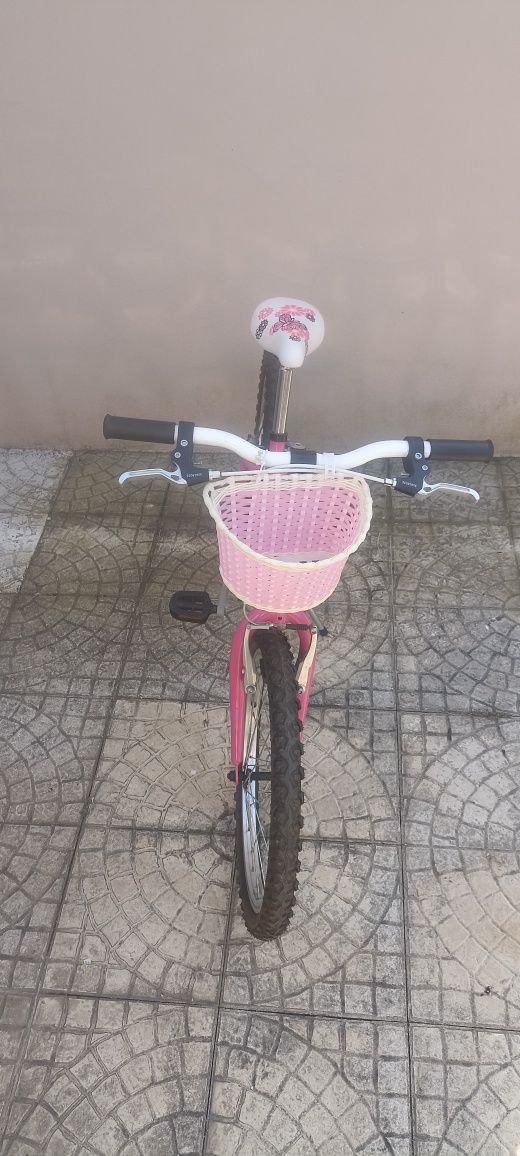 Bicicleta roda 20