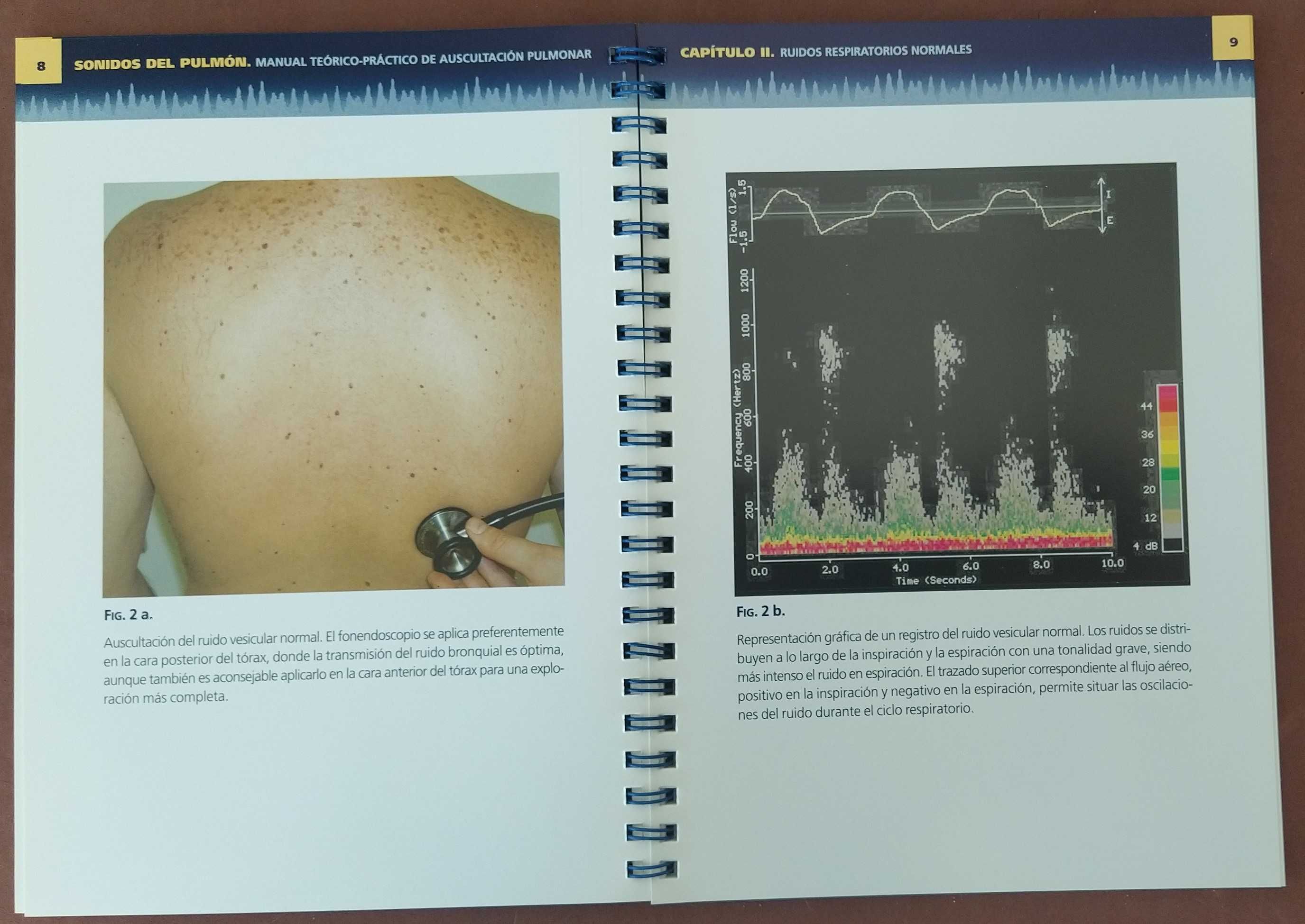 Sonidos Del Pulmón-Manual Teórico-Pratico de Auscultation Pulmonar