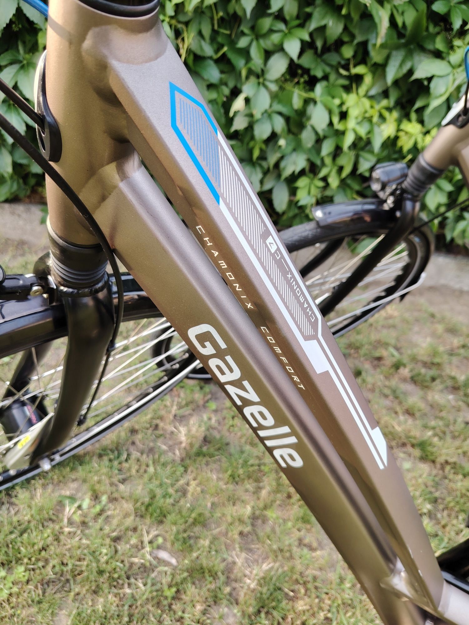 Gazelle Chamonix C7