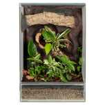 Terrarium 40x40x60 gekon orzęsiony las w szkle