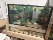 Terrario / aquario para dragão barbudo/ reptil