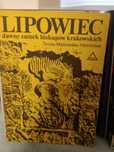 Lipowiec dawny zamek biskupów krakowskich , T.Malkowska.