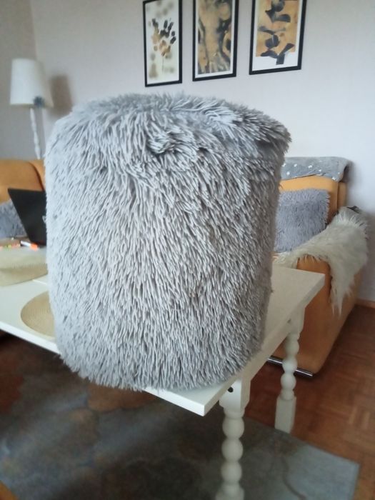 Pufa szara, włochata.