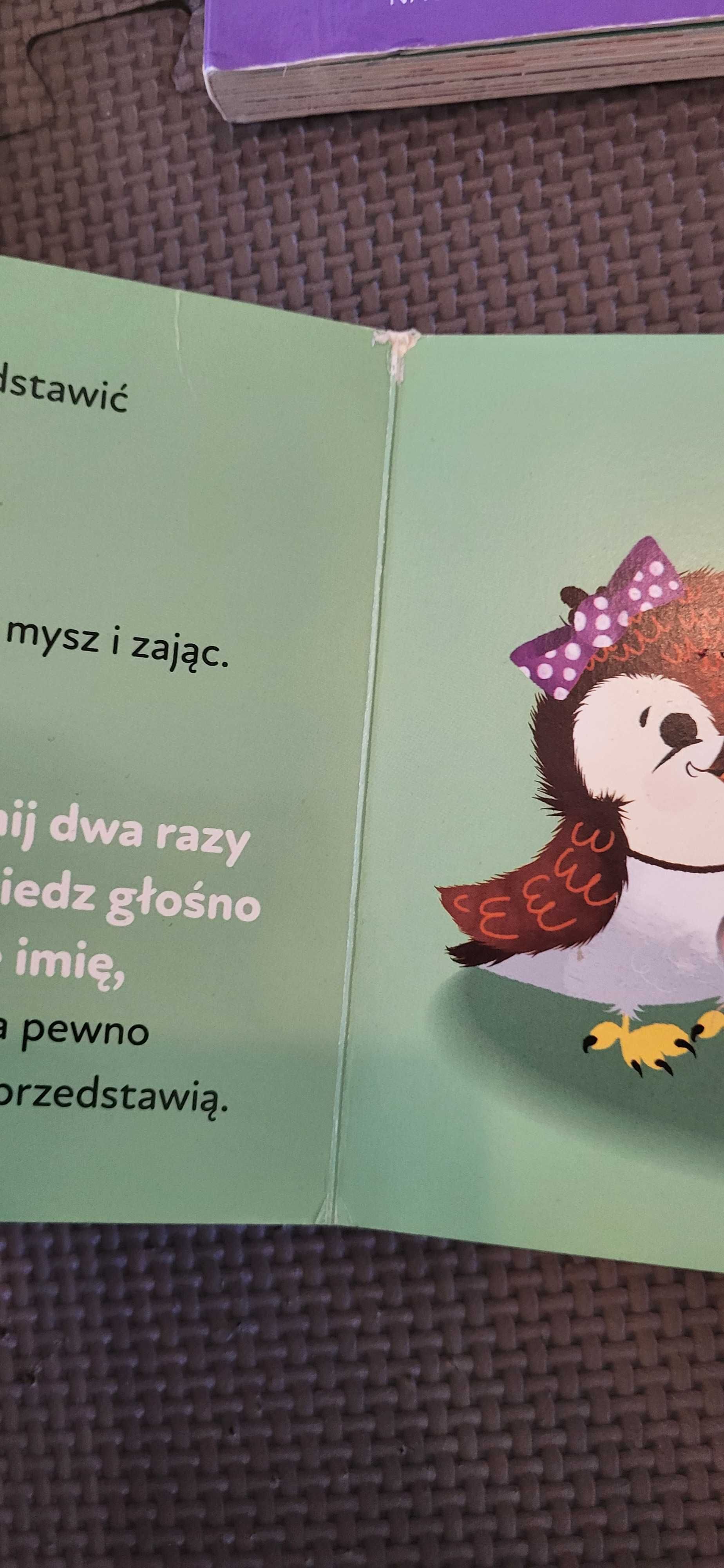 Lisek Julek zestaw książeczek dla dziecka