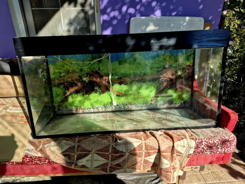 Акваріум на 200л