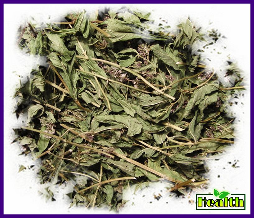 Лофант тибетский трава1кг