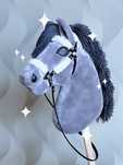 Hobby horse konik