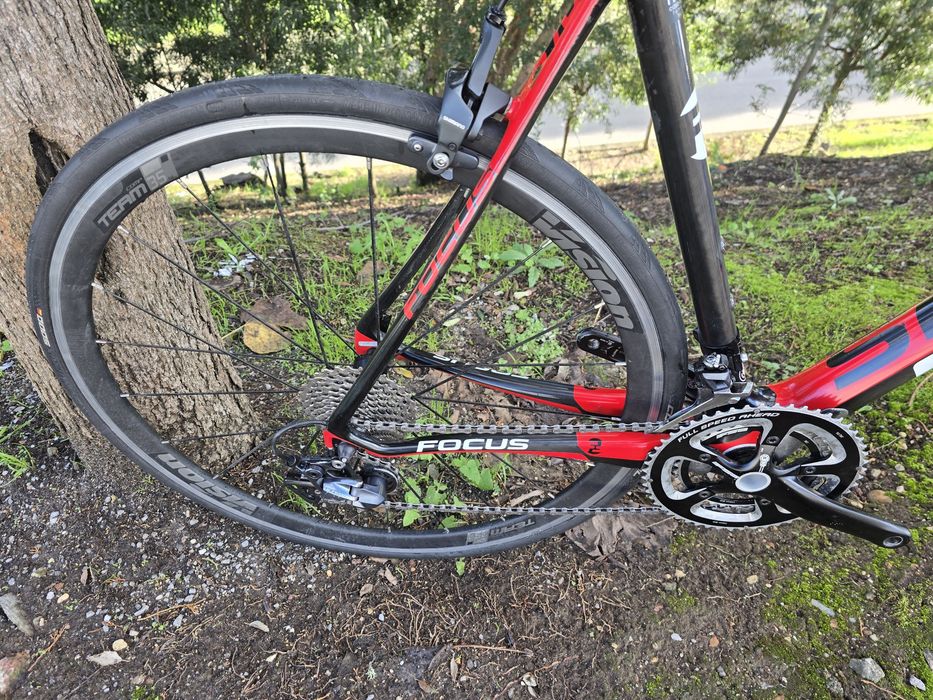 Focus cayo L 11x2v como nova