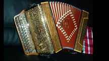 Concertina super pedrosini