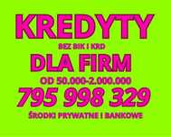 kredyty dla firm w 1 dzień