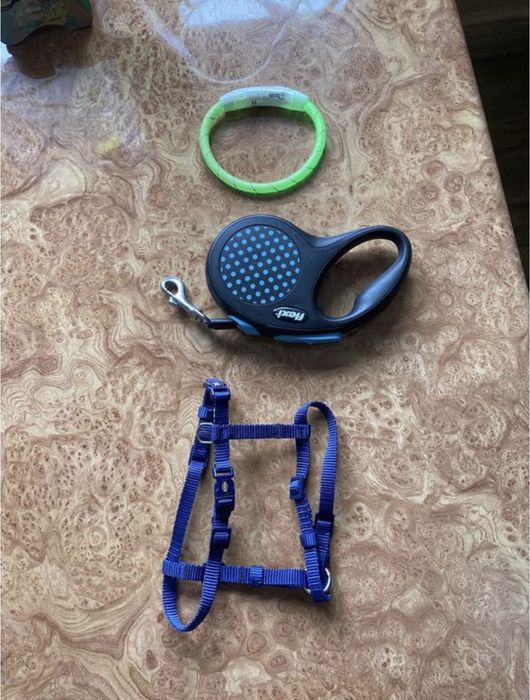 Аксесуари для собаки