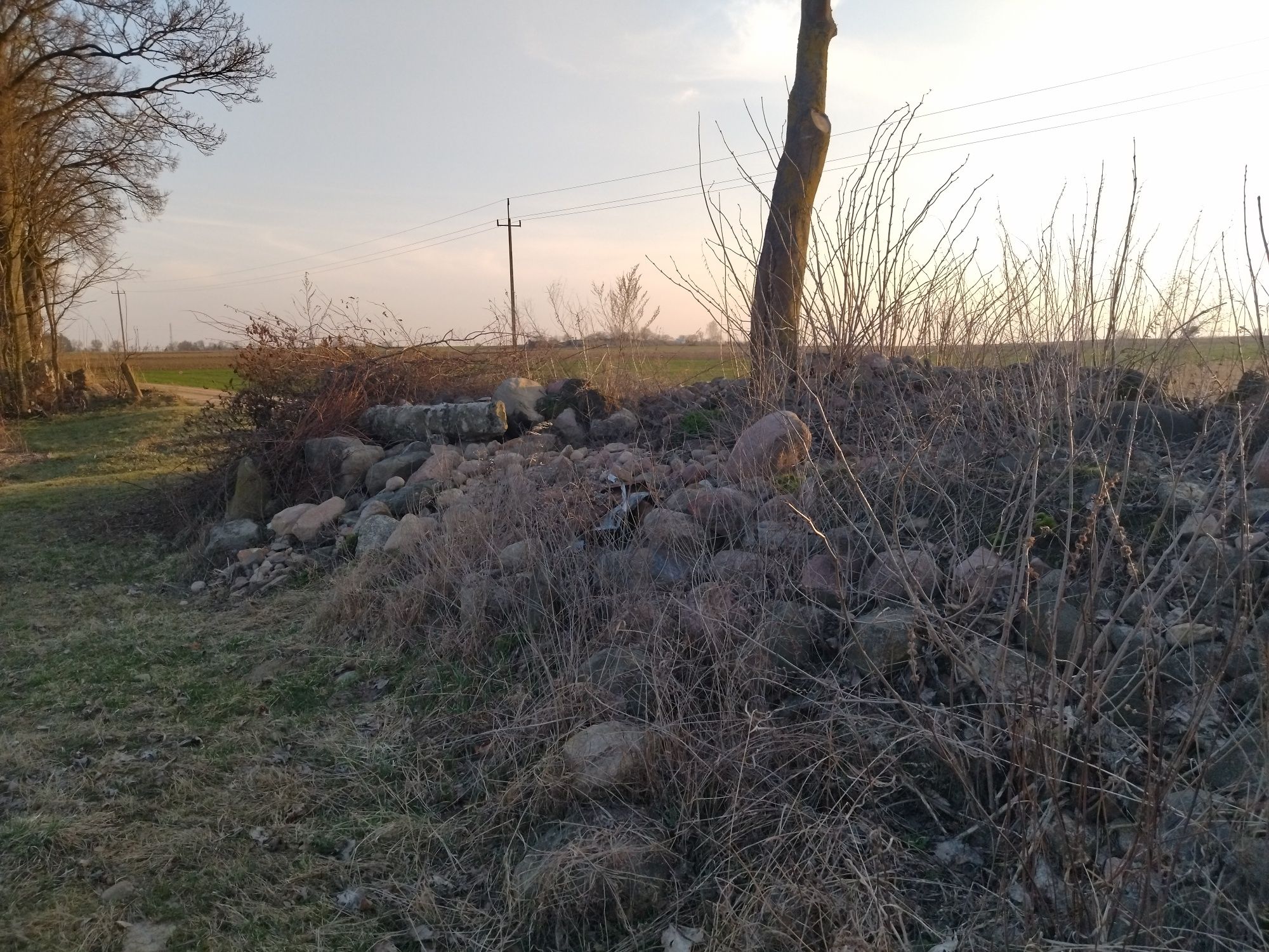 Oddam kamienie polne krusznie