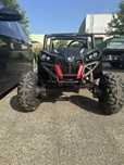 Auto Buggy utv-mx