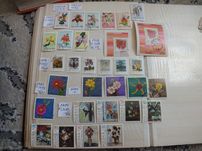 zestaw 31szt. znaczki Polska 1965/1989r. KWIATY Przyroda kasowane klej