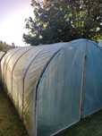 Tunel foliowy 5m x 2.5m