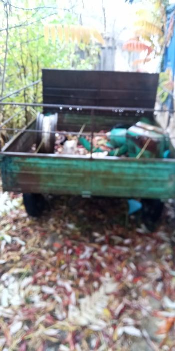 Продаи муравей вробочобустои