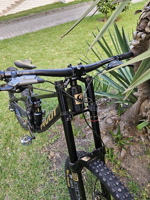 Pivot phenix 2025