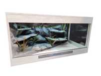 Terrarium pustynne nr746 120/60/60 dla agamy brodatej DOSTĘPNE