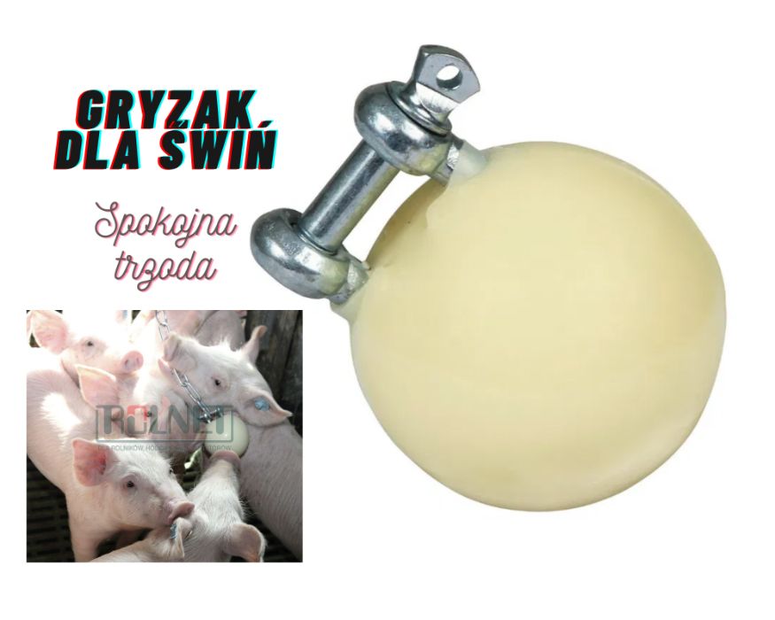 Gryzak dla świń w formie piłki, 7,5 cm ogranicza agresję