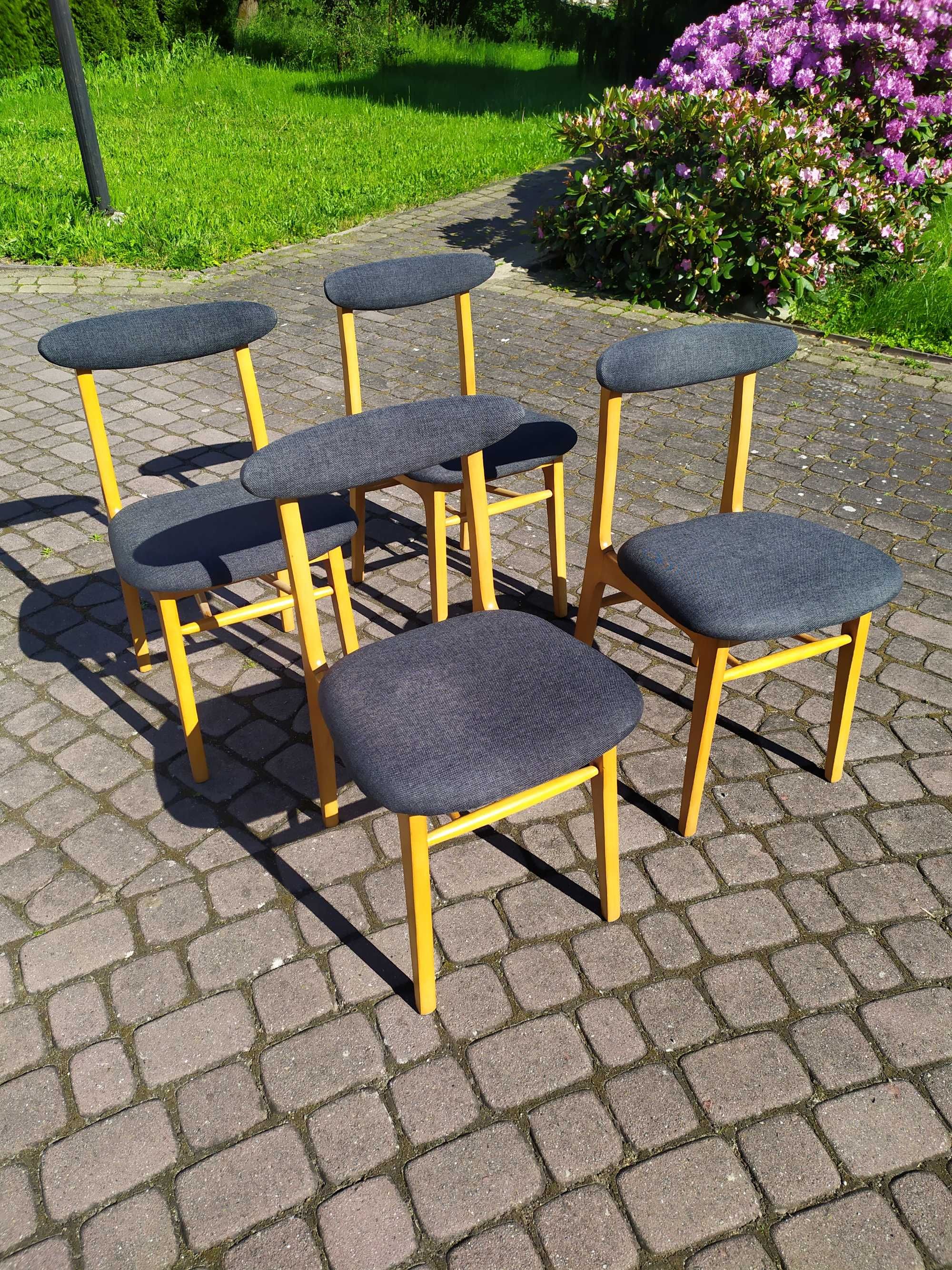 Krzesła typ A-5908 VAR - komplet 4 krzeseł z PRL po renowacji