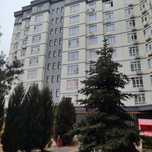 Толстого 1 оренда євродвушка