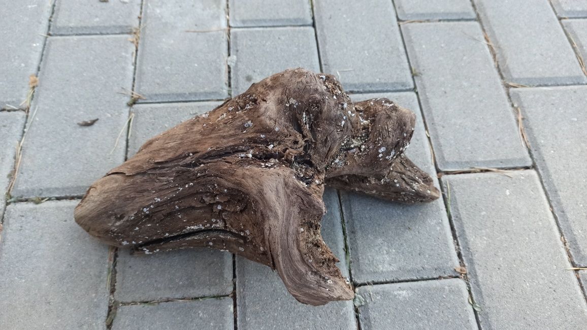 Korzeń do akwarium