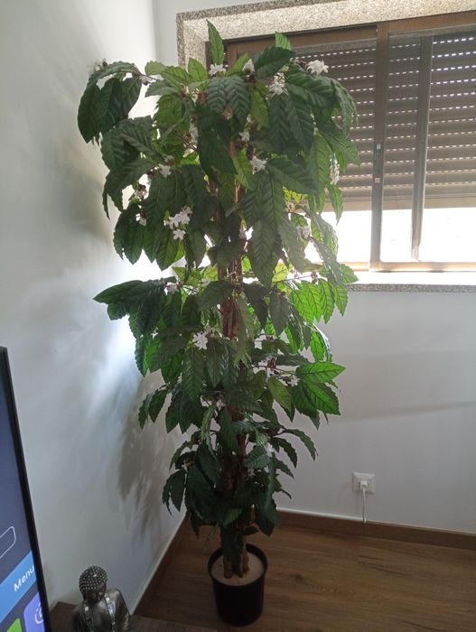 Planta Artificial do Café 1,70m