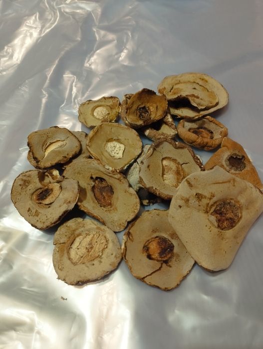 Білі гриби шапочка  ціна за кілограм