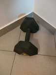 Hantle Decathlon Domyos Hex Dumbbell 10 Kg - cena za 1 sztukę