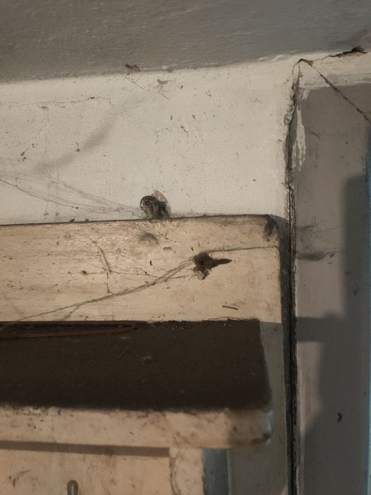 Półka stara kuchenna