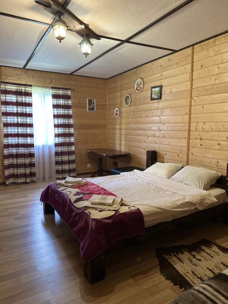 Котеджі в карпатах, відпочинок в карпатах, Шешори, котедж з басейном,
