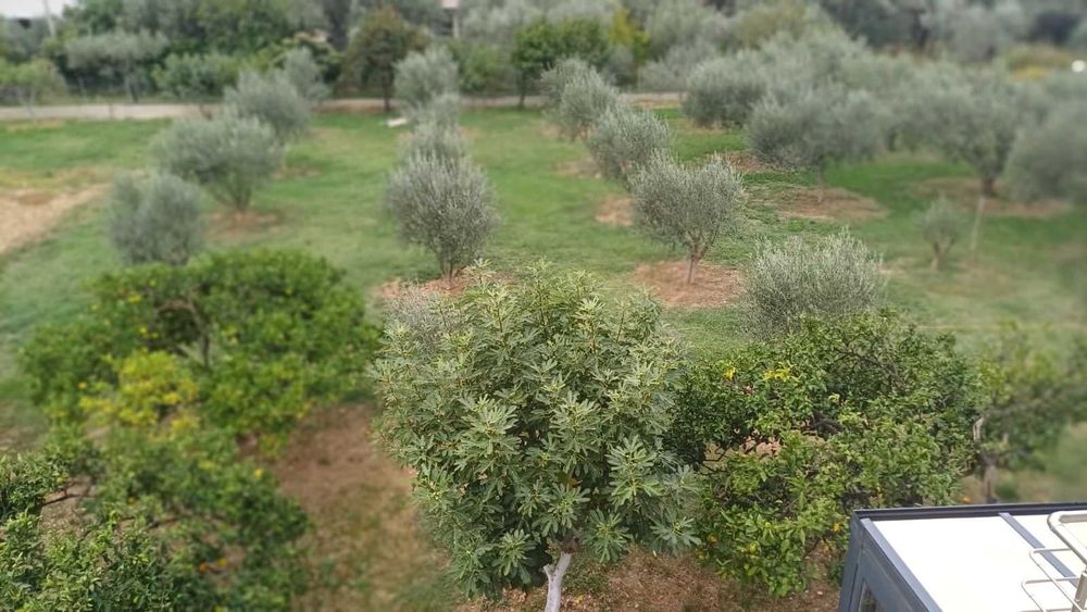 Бар. Илино. 180м - второй круг с заправками, 570м - МОРЕ. 350м маркеты