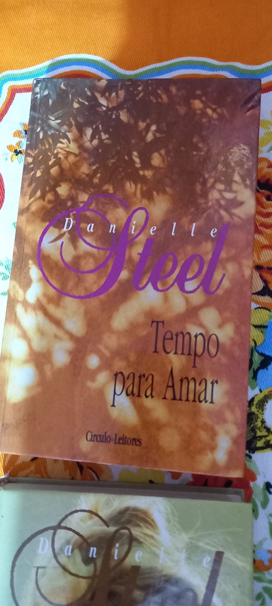 Livros Danielle Steel